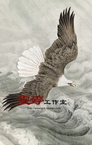 Gongbi painting white drawing background-Bolangtu eagle eagle animal painting Chinese painting calligraphy and painting homework painting