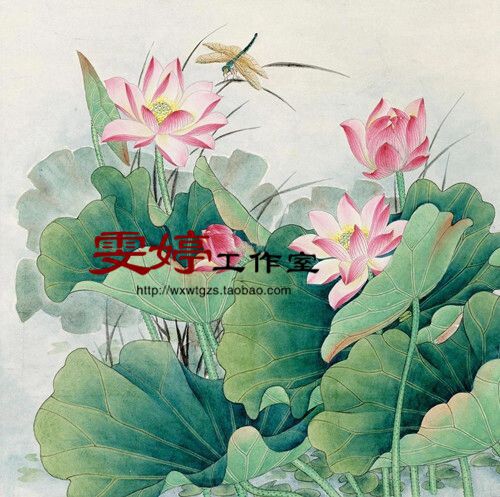 Work Stroke White Sketching white paper Bottom Draft Flower Bird Line sketching National Manuscript Lotus Dragonfly Painting Homework Painting