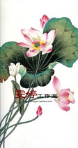 Gongbi painting White sketch Physical white paper background draft Flower and bird line drawing Chinese painting draft Lotus painting homework painting