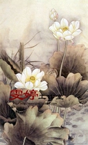 Meticulous painting white paper manuscript flower and bird line drawing Chinese painting manuscript Lotus painting homework painting *