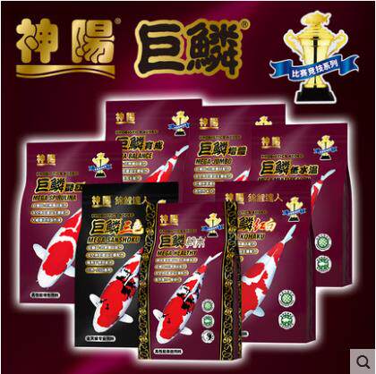 The Shenyang giant squalid carp feed into the 10kg15kg increase body color without muddy water floating goldfish to watch the fish fish grain-Taobao