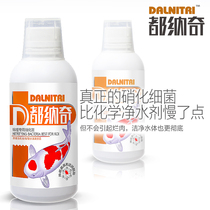 All Natchi Active Liquid Freshwater Brocade Carp Generic Nitrogenized Bacterial Aquarium water purification to remove nitrite ammonia nitrogen