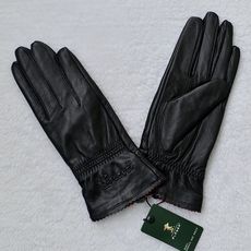 Перчатки 2022触屏新款专柜正品啄木鸟女式士绵羊真皮手套女秋冬季薄款防风 Plover