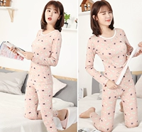 Qiuyi Qiuku 100% cotton mỏng phần đồ lót nhiệt đặt nữ và nữ nửa cổ cao cotton đồ pijama