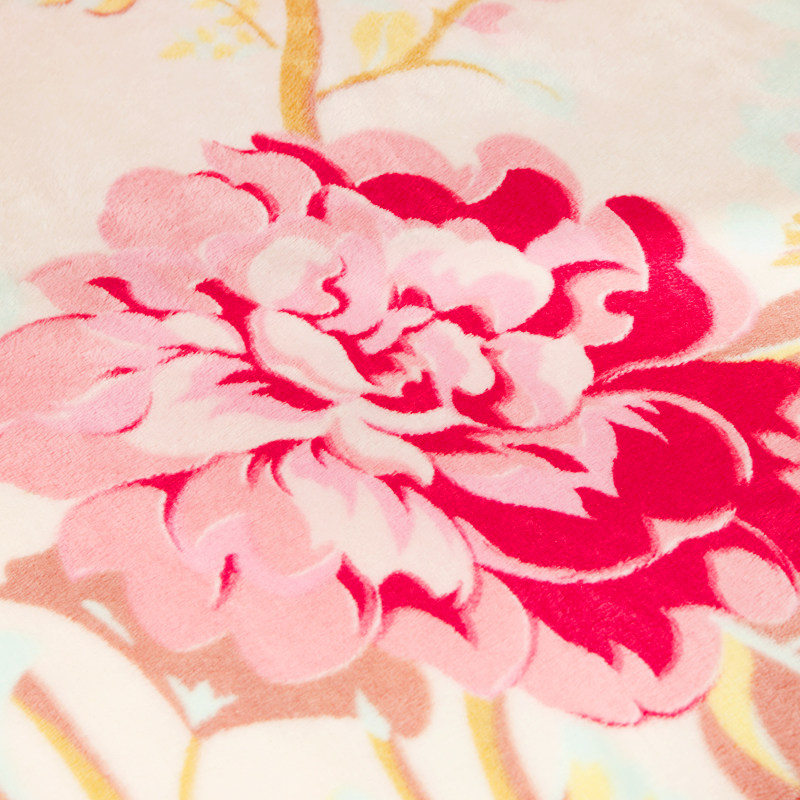 ����������ë̺91116110106