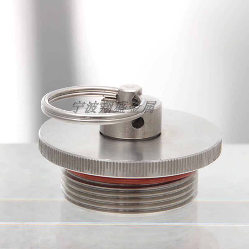 Two Hair Stainless Steel Beer Barrel Reducing Valve Lid Home Brewery Wine Bottle Lean brewer Wine Barrel Stabilized Pressure Relief Deflated Valve