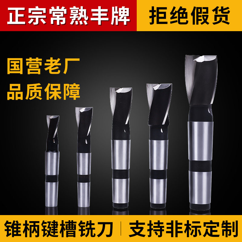 Changshu Feng brand cone shank keyway milling cutter white steel double-edged 2-edge milling cutter High speed steel CNC milling cutter can be customized