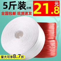 Piste en plastique Rope 5 Catty Bale Strap Nylon Rope Zoral Belt Tear Strap Fabricant Prix spécial