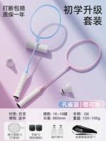 «О новичке обновления» сплав сплав сплав [Sakura Pink + Peacock Blue Gif