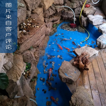 Green Dragon Blue Pool Special Waterproof Paint Swimming Pool k11 Material Fish Pool Lacquer Kitchen leakage slurry impermeable