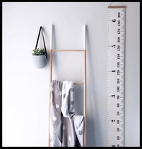 INS explosion style Nordic style baby height ruler Childrens room hanging painting girl bedroom decoration painting Korean home