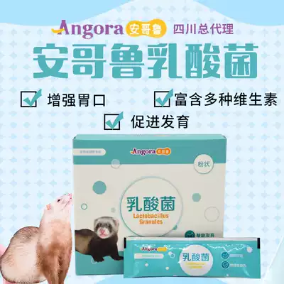 Anglo Angru pet reten ferret ferret with lactic acid bacteria granules