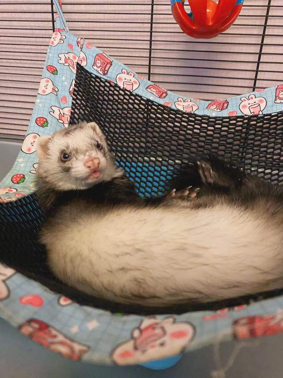 Pet nest four seasons universal mat ferret summer mesh cool breathable cooling anti-heatstroke single-layer hammock