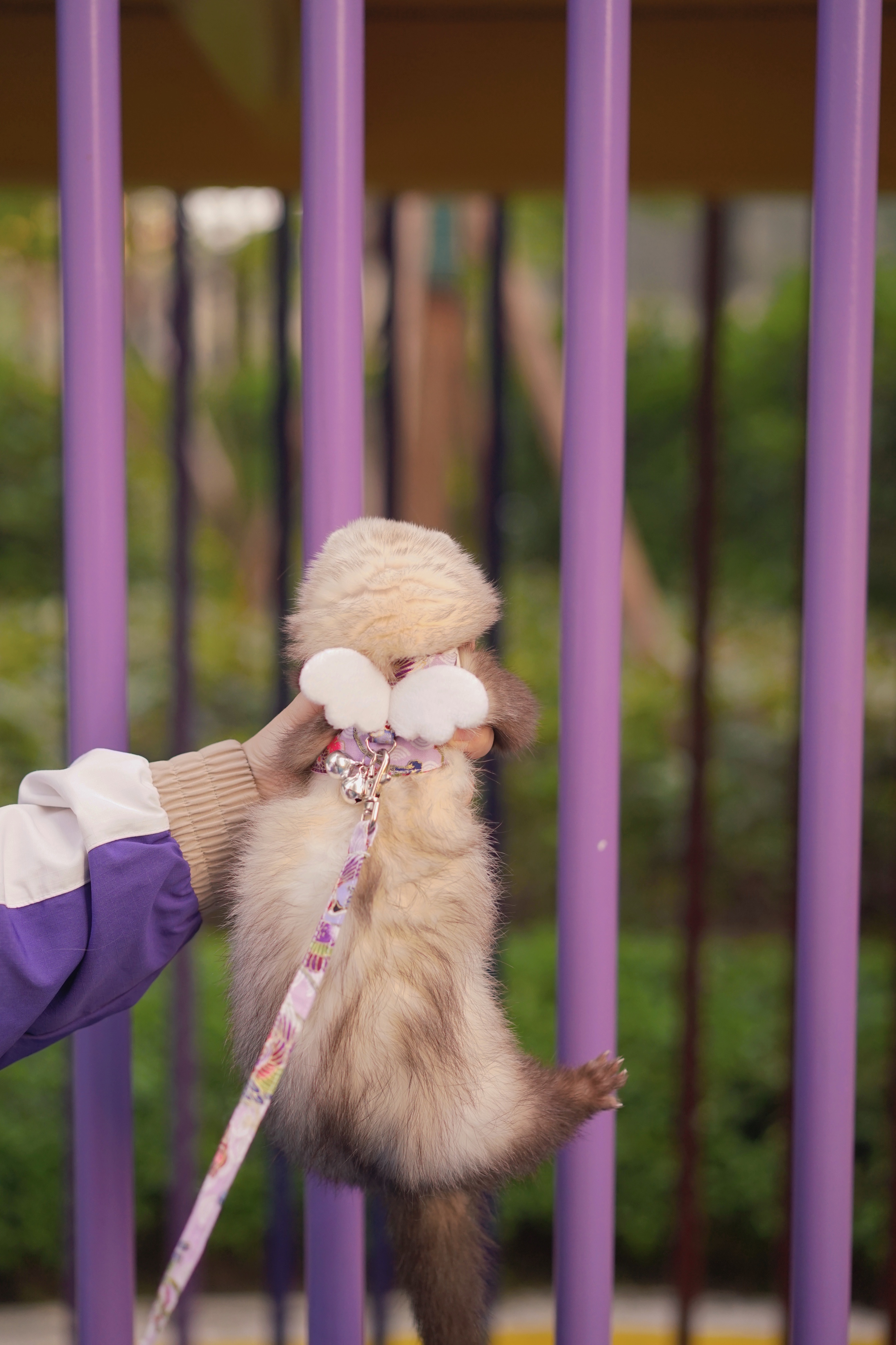 diy handmade pearl home-made small wings and wind bow out vest traction lanyard comfortable and safe