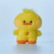 ZB1 Jin Tailai Yellow Chicken Baby