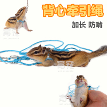 Golden flower squirrel anti-knot anti-bite strap split traction rope Golden Bear hamster traction training rope