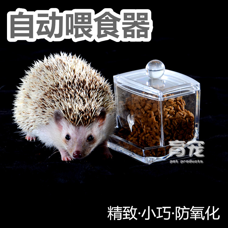 automatic hedgehog feeder
