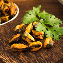 Dried mussels Premium grade 500g premium wild mussels meat seafood dried seafood Haihong dried mussel shell Zhanjiang specialty