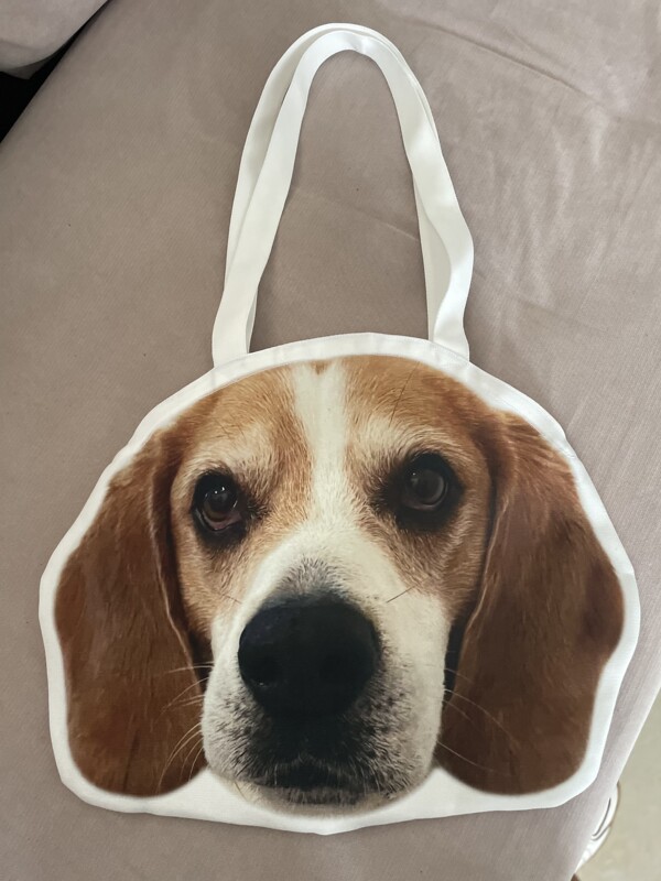 Beagle Double-Sided Printed Canvas Bag 45X45 with Money-Themed Paw Print Postcard