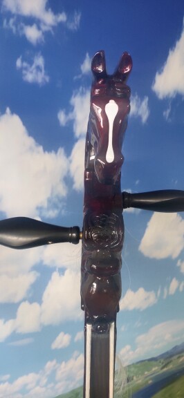 Zhengzong Tohoku is expected to be a horse head-Taobao