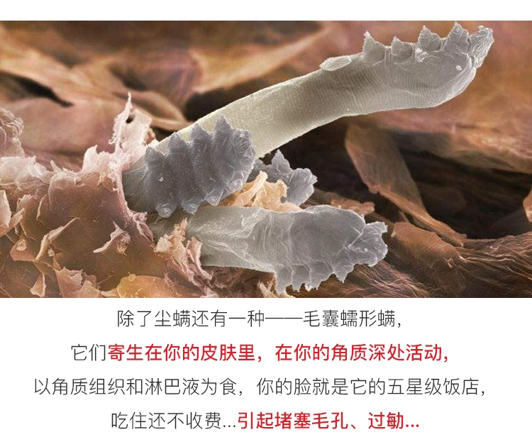 嫣然 Nhật 哼 螨 heng hengai để 螨 神 tạo tác ngoài bộ đồ giường sofa hút nhà - Thuốc diệt côn trùng bình xịt côn trùng của nhật	