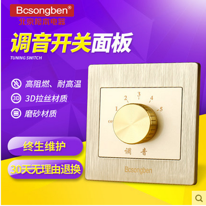 Band Tuning Switch Volume Switch Volume Conditioning Switch Volume Adjusting Switch