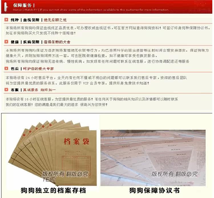 上海养殖基地直销马犬及其它幼犬 签协议 送用品