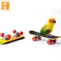  Min cage high-end small and medium-sized parrot frosted scooter Parrot puzzle training toy grinding foot board bird training tool