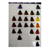  Barber shop hair dye cream Hair dye popular color cover White hair salon special black blue brown gray stuffy blue