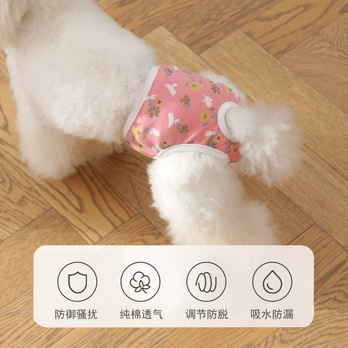 Физиологические штаны для собак, собака, PA Gaig Teddy Anty -Harassing Ganitgable Sainting Safety Baints, Менструальная тетя трусики