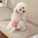 Физиологические штаны для собак, собака, PA Gaig Teddy Anty -Harassing Ganitgable Sainting Safety Baints, Менструальная тетя трусики