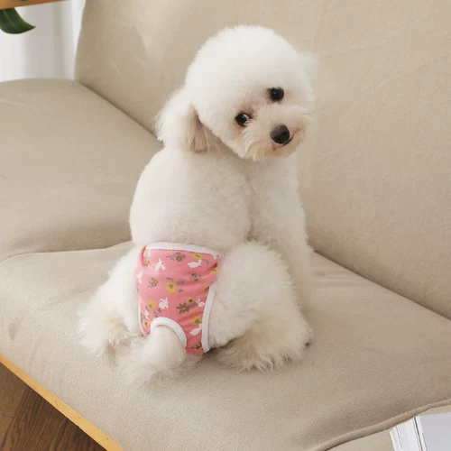 Физиологические штаны для собак, собака, PA Gaig Teddy Anty -Harassing Ganitgable Sainting Safety Baints, Менструальная тетя трусики