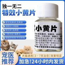 Cat cold runny nose and runny nose with tears seal eyes skin swelling yellow abscess 50 tablets