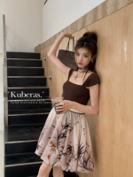 Кубелас нише ретро -ретро -новая китайская стиль ледокола для ледовой марле