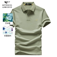 206 (Bean Green)