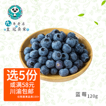 Chengdu Tongcheng blueberry fresh fruit Dandong boutique wild acid sweet and delicious 120g boxes full 5 boxes
