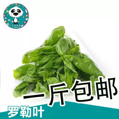 Fresh Basil Leaf Nine-Layer Tower Gold Do not change 500g Sweet Basil Leaf Euro Western Spice Green Sauce
