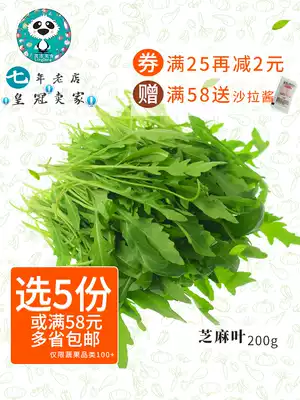 Fresh vegetables Arugula salad vegetables Lettuce Western vegetables full 68200g