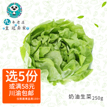 Fresh Cream Raw Vegetables Boston Cream Raw Vegetable Salad Vegetable Western Meal Salad 250g