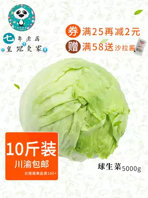 Fresh vegetables round lettuce salad dish ball lettuce Western food salad pancakes dish 10kg catering whole