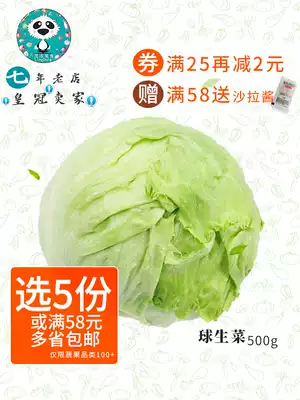 Fresh vegetable round lettuce Western lettuce ball lettuce Vegetable Salad dish 500g crispy sweet pancake dish 5 servings multi-province