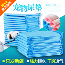 BBQ pet simple pet diaper pad thickened cat and dog diaper dog diaper pad dog diaper 50 pieces 100 pieces
