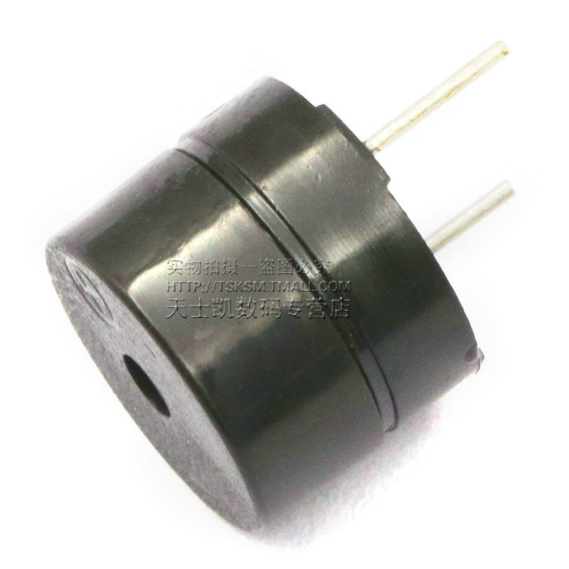 Chia nhỏ 9mm 5V cao hoạt động còi điện SOT ống xi nhựa âm thanh dài (2)