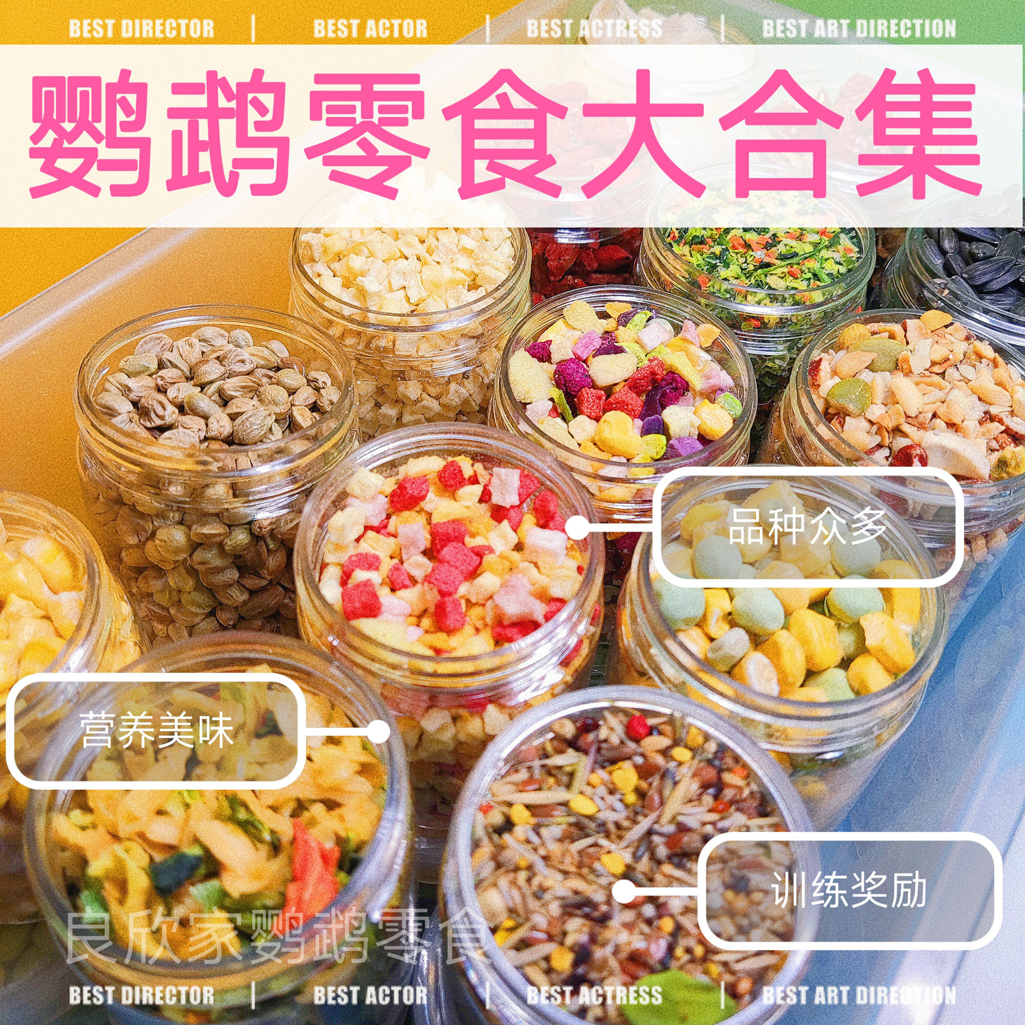 鹦鹉冻干蛋黄颗粒：训练奖励零食新宠，助力玄凤牡丹虎皮繁育成功！