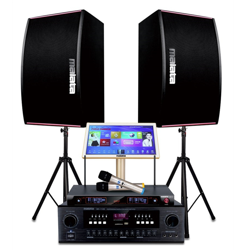 Wanlida MS-2510 professional speaker KTV conference card box 300K amplifier set home theater audio