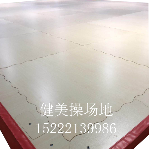 Jiehansen aerobics venue cheerleading floor national standard production factory direct sales competition training type