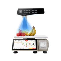 Fast Money AI Intelligent Identification Electronic Scale Weighing Cash Register All-in-one Convenience Store Fruit Shop Deli Weighing Cash Register Supermarket System Management Braised Vegetable Malatang Scan Code Collection System