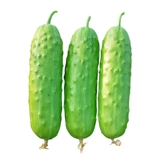 Весенние семена семян семян семян