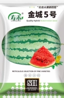Джинчэн № 5 Семена арбуза 50 таблетки/сумка (купить 2 получить 1 бесплатно) высокий доход и очень большая дыня 8-18 кг
