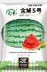 Джинчэн № 5 семена арбуза 50 штук/сумка (купить 2 получить 1 бесплатно)